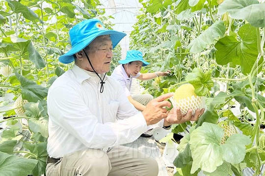 HTX Tân Minh Đức có diện tích nhà màng, nhà lưới nhiều nhất tỉnh